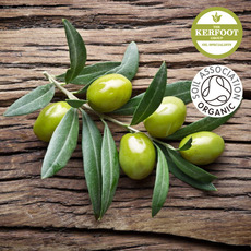 유기농 올리브 엑스트라 버진 오일 (Organic Extra Virgin Olive Oil)