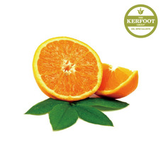 스윗오렌지 에센셜 오일(sweet Orange e.o)Citrus sinensis